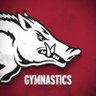 Arkansas Gymnastics 🐗 的头像
