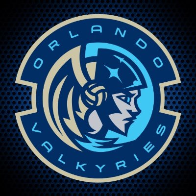 orlvalkyries's profile picture