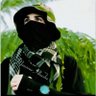 Nasrullah Mansur's profile picture