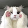 riiypurrlova profil fotoğrafı