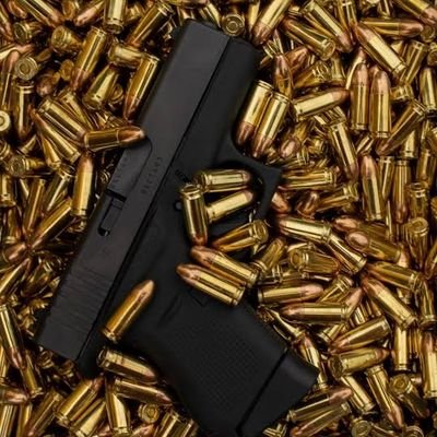 Gun Lovers Club's profile picture