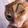 ForFunzzy2021's profile picture