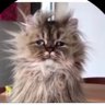 Profilbild von Seer723