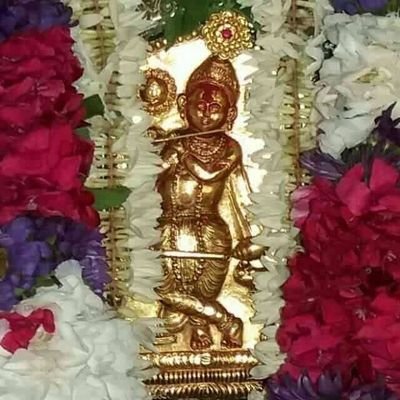 DivyaJayaraj24's profile picture