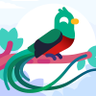 Ducky's profile picture