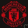 Man United Fan. 的头像