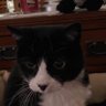 NancyJ755 profil fotoğrafı