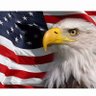 WeThePeople 的头像