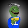 Torque profil fotoğrafı