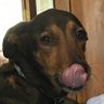 Mat's profile picture