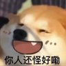 小君肚子饿饿的 的头像