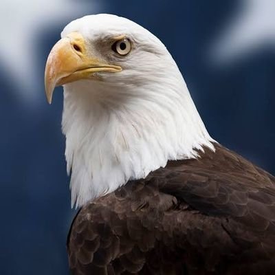 Civilerbala1979's profile picture