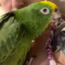 Angela Wilson profil fotoğrafı