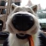 Waffleʷᵃᶠᶠˡᵉ 🧇🔜 NFC #4139, CFz 的头像
