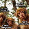 Фото профиля Биомеханоид с Татуина 🇬🇪 🇰🇿 🇰🇬🇺🇦