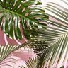 Фото профиля أم فهد