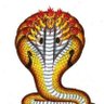indiyanesan profil fotoğrafı