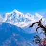 NCC DIRECTORATE UTTARAKHAND's profile picture