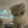yy profil fotoğrafı