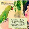Shahnwaz Ali's profile picture