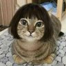 Nina's profile picture