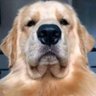 Profilbild von Juan Pablo