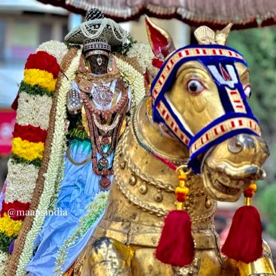 Maps 🇮🇳's profile picture