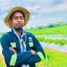 Anesu Mapisa's profile picture