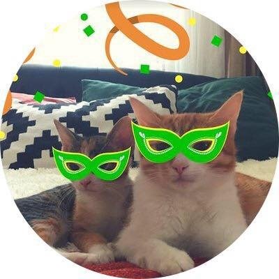 Kedilikler / Funny Cat Moments's profile picture