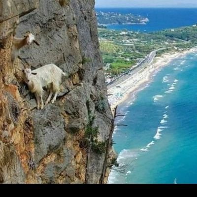 Shrikant's profile picture
