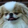 Mammy4u's profile picture