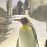 cozcoz_crypto's profile picture