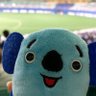 Profilbild von しん・spdorako 今年初は5月！
