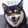 黒柴れん🐕 profil fotoğrafı