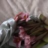 shimaa_al 的头像