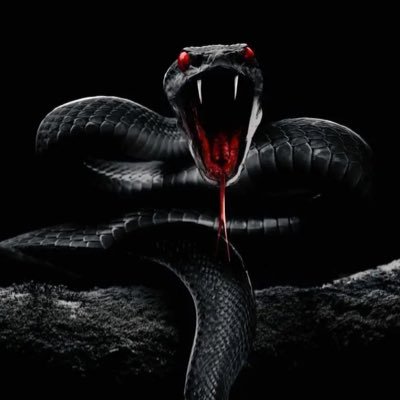 ItsYungSerpent's profile picture