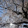 Фото профиля あ