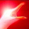 InfosecSeagull's profile picture