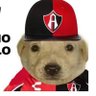Akd profil fotoğrafı