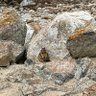 A.D. profil fotoğrafı