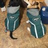Futbal&JETS 的头像