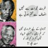 Shamis Baloch 的头像