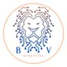 BV Marketing's profile picture