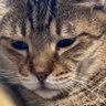 あえんびえん profil fotoğrafı