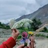 Ayesha Farid profil fotoğrafı