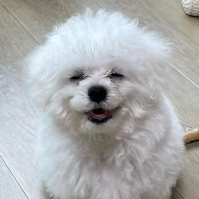 밀크🥛's profile picture