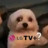 k profil fotoğrafı