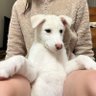 煮込んでやる 的头像