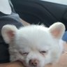 Profilbild von มณี09166