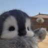 Profilbild von NoN@m3